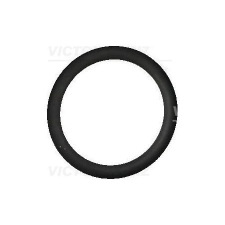 Reinz Oil Hose Oring, 40-76325-10 40-76325-10